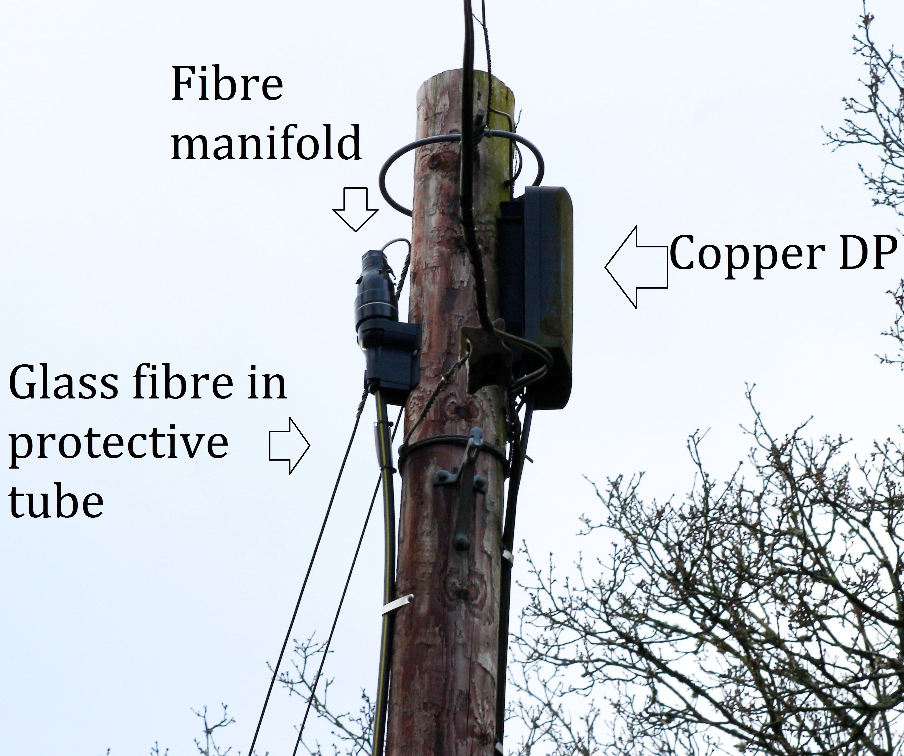 Bt next generation access
